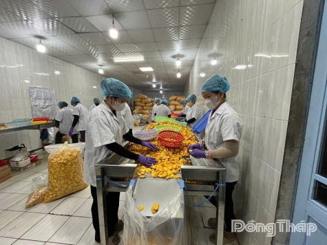 Dong Thap Enterprises Kick Off New Year Operations