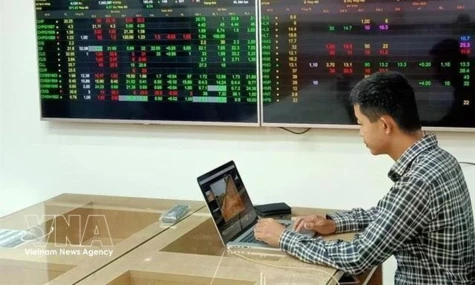 Vietnamese stock accounts surpass 12 million in January