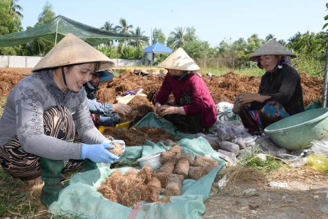 Lợi ích kép từ mô hình trồng nấm rơm ở xã Vĩnh Bình