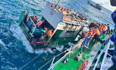 Bộ Tư lệnh Vùng Cảnh sát biển 3 gắn bó, hỗ trợ ngư dân trên các vùng biển