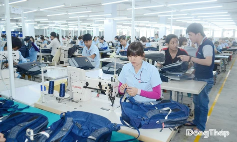 Thành lập Ban Chỉ đạo phát triển kinh tế tư nhân tỉnh Đồng Tháp