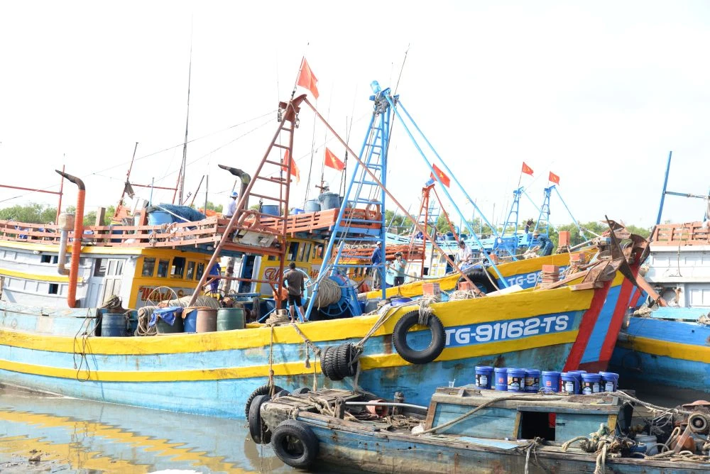 Đồng Tháp: Tập trung thanh tra, kiểm tra công tác chống khai thác IUU