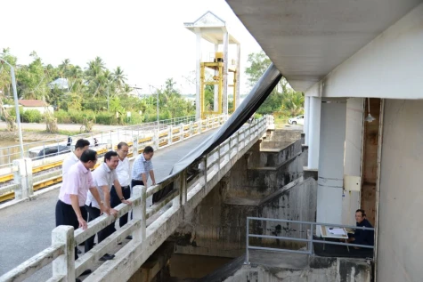 Đồng Tháp: Chủ động ứng phó hạn, mặn từ sớm, từ xa