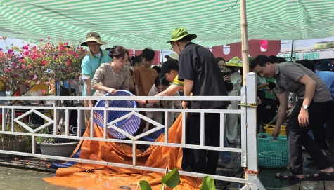 Các mạnh thường quân phóng sanh khoảng 3,2 tấn cá về với tự nhiên