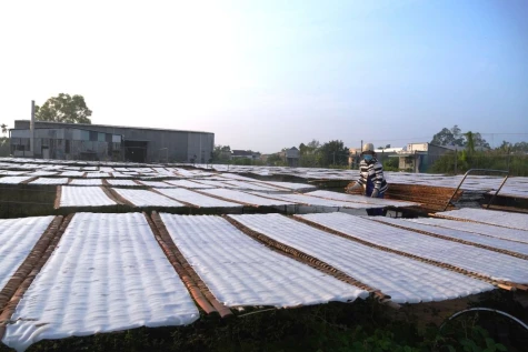 Phát triển bền vững làng nghề bột Tân Dương