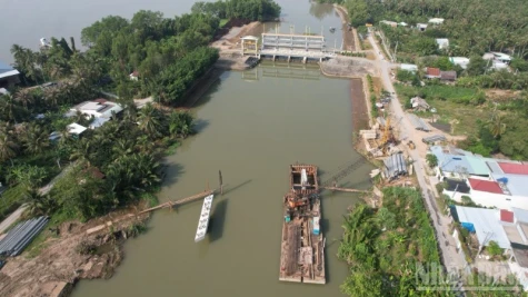 Bảo vệ sản xuất trong đợt cao điểm xâm nhập mặn