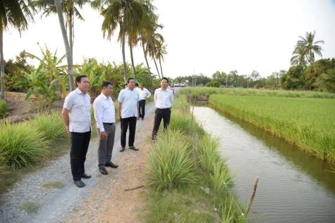 Đồng Tháp: Chủ động ứng phó hạn, mặn mùa khô 2025 - 2026