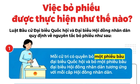 [Infographic] Việc bỏ phiếu được thực hiện như thế nào?