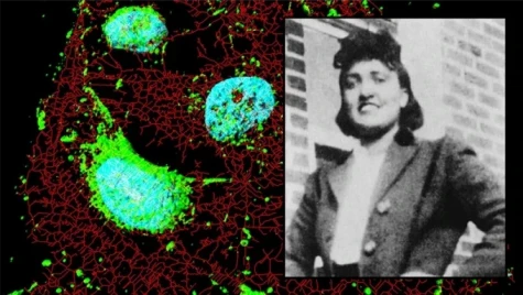 Gia đình người có 'tế bào bất tử' đạt thỏa thuận với công ty dược