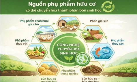 Kinh tế chất thải và tiềm năng phát triển