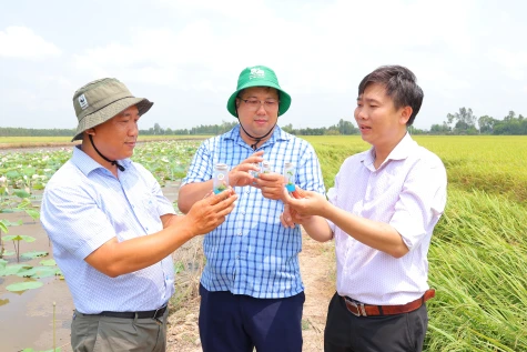 Đồng Tháp: Ứng dụng công nghệ, mở hướng phát triển cho ngành hàng sen