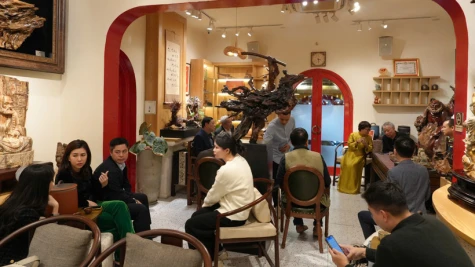 Không gian di sản văn hóa Hoàng Liên cổ thụ trà