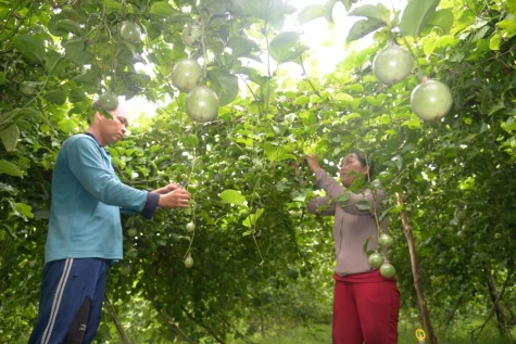 Năng động phát triển, làm chủ cuộc sống
