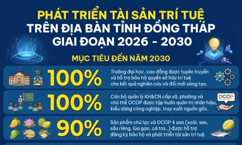 [Infographic] Phát triển tài sản trí tuệ trên địa bàn tỉnh Đồng Tháp giai đoạn 2026 - 2030