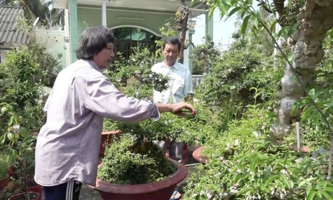 Những người “thổi hồn” vào gốc mai nu chiếu thủy