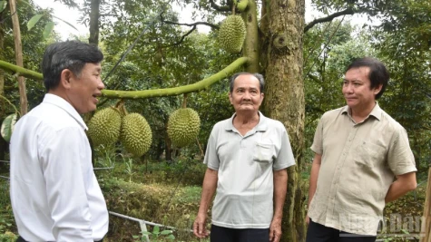 Vài suy ngẫm về nông nghiệp và nông thôn