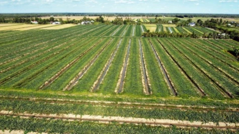 Xâm nhập mặn ở Đồng bằng sông Cửu Long thấp hơn trung bình nhiều năm