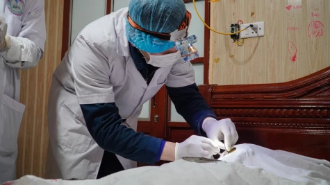 Chấn chỉnh thực hiện quy định về hiến, lấy, ghép mô, bộ phận cơ thể người