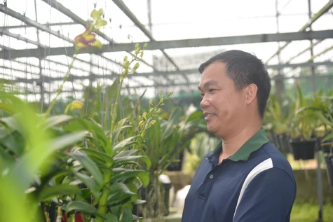 Chàng cử nhân kinh tế theo đuổi niềm đam mê hoa lan