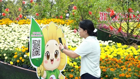 Đồng Tháp: Đẩy mạnh chuyển đổi số trong bầu cử