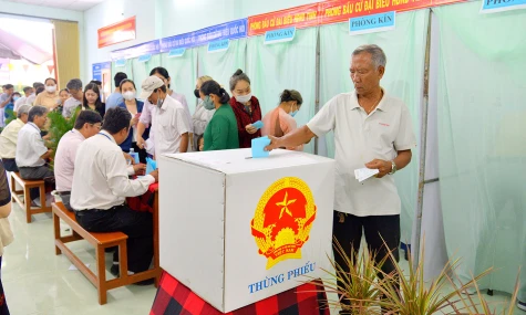 Lá phiếu trong buổi sáng phù sa