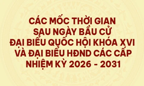 [Infographic] Các mốc thời gian sau ngày bầu cử Đại biểu Quốc hội khóa XVI và Đại biểu HĐND các cấp nhiệm kỳ 2026 - 2031