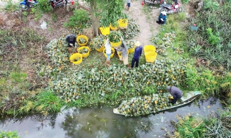 Phát huy tiềm năng thúc đẩy phát triển kinh tế - xã hội