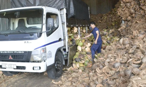 Từ vỏ dừa khô đến giá trị kinh tế