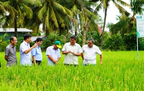 Đồng Tháp tăng tốc giảm phát thải