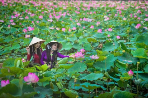 Lan tỏa hạnh phúc đến mọi gia đình