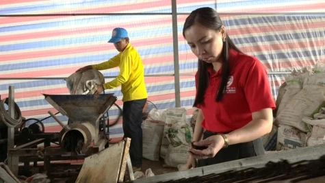 Nữ Giám đốc hợp tác xã đam mê 
làm nông nghiệp sạch