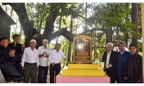 Vĩnh Long đón nhận Bằng công nhận Cây Di sản Việt Nam