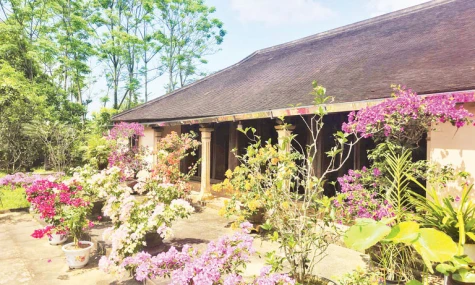 “Bảo tàng sống” Hội Kỳ bên dòng Ô Lâu