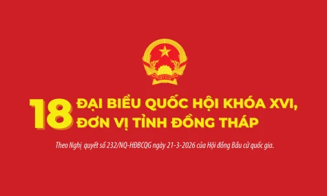 [Infographic] 18 Đại biểu Quốc hội khóa XVI, đơn vị tỉnh Đồng Tháp