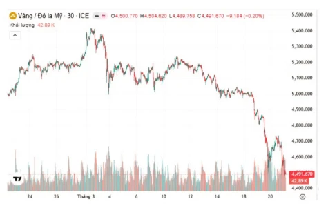Giá vàng sáng nay (22-3): Giảm mạnh nhất từ sau chiến sự Trung Đông