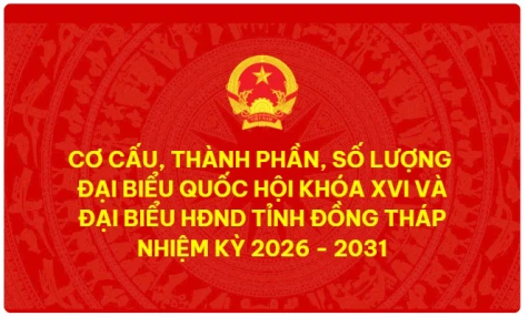 [Infographic] Cơ cấu, thành phần, số lượng Đại biểu Quốc hội khóa XVI và Đại biểu HĐND tỉnh Đồng Tháp nhiệm kỳ 2026 - 2031