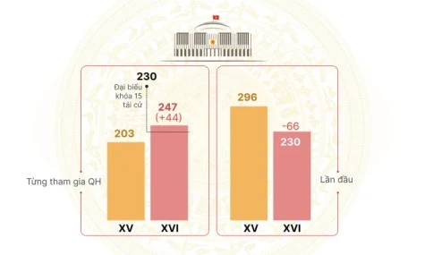 Những thay đổi lớn trong cơ cấu đại biểu Quốc hội khóa 16