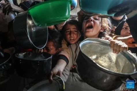 Trên những phận người vẫn là bão tố