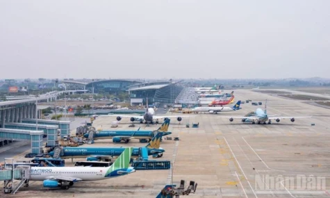 Vietnamese carriers cut flights amid fuel price hikes