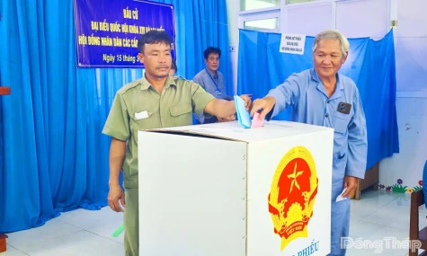 Đồng Tháp: 53/102 xã, phường đạt 100% cử tri đi bầu cử