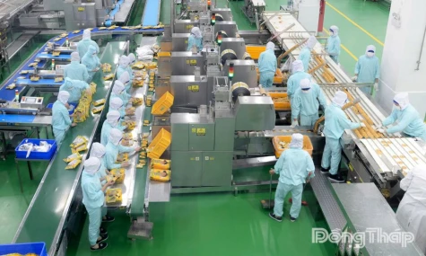 Đồng Tháp: Ước thu ngân sách nhà nước quý I-2026 đạt khoảng 7.527 tỷ đồng