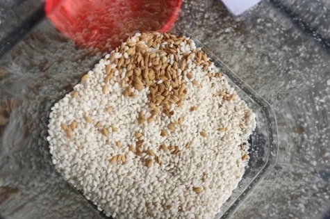 Tiến sĩ phục tráng thành công giống nếp tiến vua