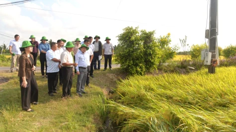 Phó Bí thư Thường trực Tỉnh ủy Phan Văn Thắng làm việc tại Hợp tác xã Dịch vụ Nông nghiệp Hưng Hòa