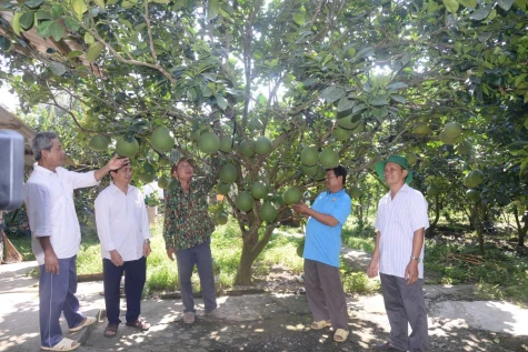 Bài 3: Động lực phát triển từ cộng đồng