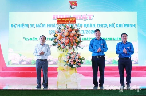 Dong Thap Marks the 95th Anniversary of the Ho Chi Minh Communist Youth Union