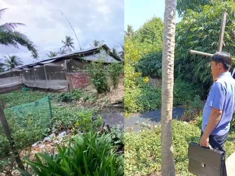 Xã Bình Ninh: Cần khẩn trương xử lý tình trạng chăn nuôi gây ô nhiễm môi trường