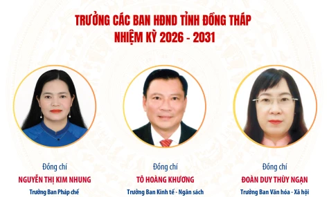 Trưởng các Ban HĐND tỉnh Đồng Tháp nhiệm kỳ 2026 - 2031