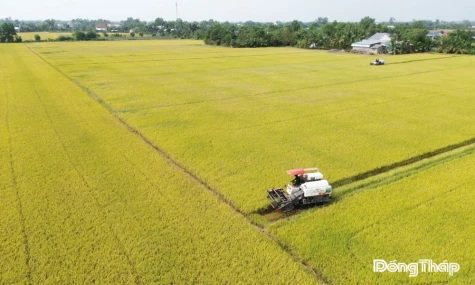 Thách thức nông nghiệp