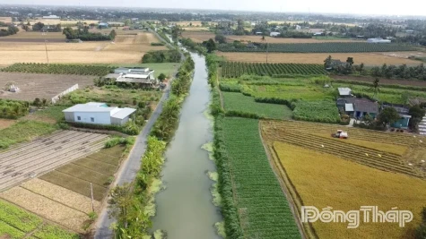 Dong Thap: Saltwater Intrusion To Rise With Mid-Second Lunar Month High Tide