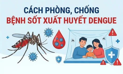 [Infographic] Cách phòng, chống bệnh sốt xuất huyết Dengue